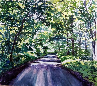 Woodland Road by Tilly Willis